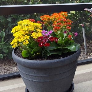 Meet your Posher, Sheila